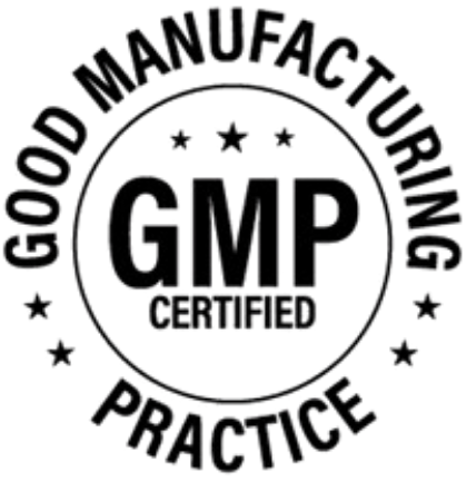 6_GMP-e1790362885766.png